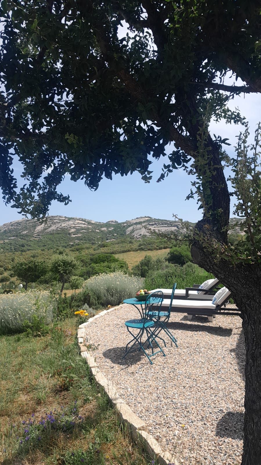 WhatsApp Bild 2025 06 12 um 13.48.10 31e92ecf